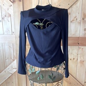 Sexy, peekaboo, black blouse. Stretchy, striped looking.